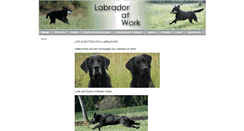 Desktop Screenshot of labradoratwork.ch
